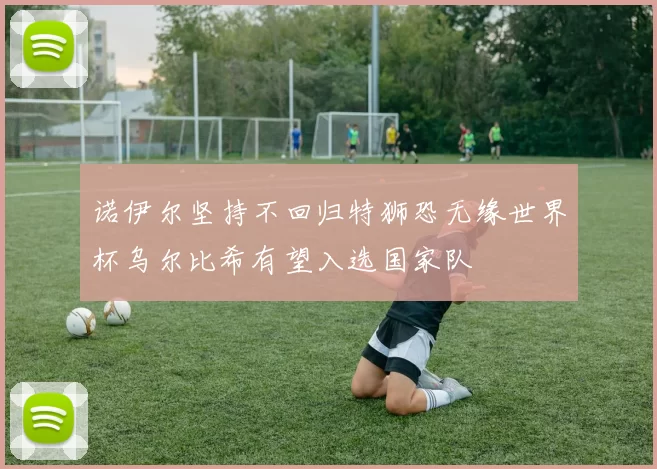 诺伊尔坚持不回归特狮恐无缘世界杯乌尔比希有望入选国家队