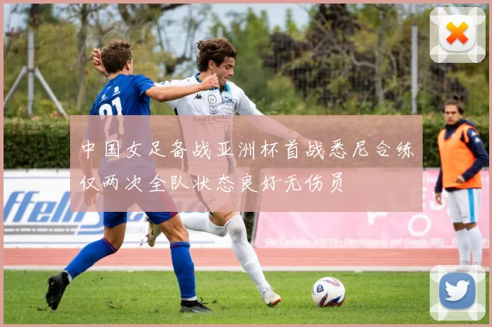 中国女足备战亚洲杯首战悉尼合练仅两次全队状态良好无伤员